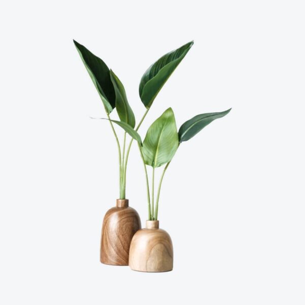 HyperFresh plant on wooden vase